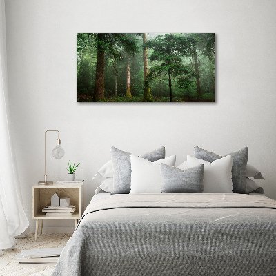 Foto obraz akryl do obývačky Hmla v lese