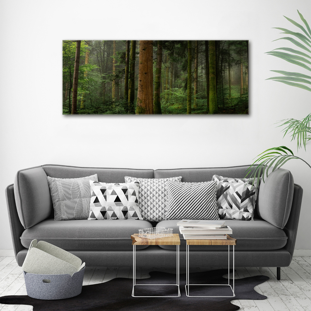 Foto obraz akrylový do obývačky Hmla v lese