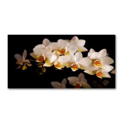 Moderný foto-obraz akryl na stenu Orchidea