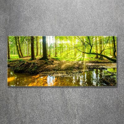 Foto obraz akrylový do obývačky Rybník v lese