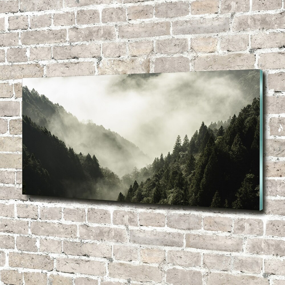 Foto obraz akrylový Hmla nad lesom