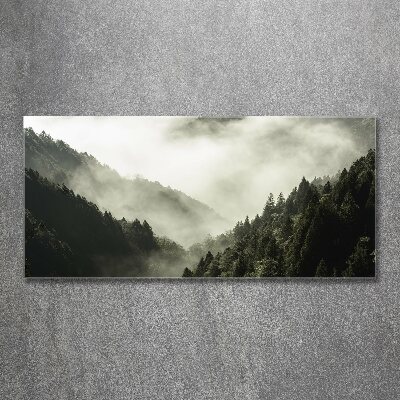Foto obraz akrylový Hmla nad lesom