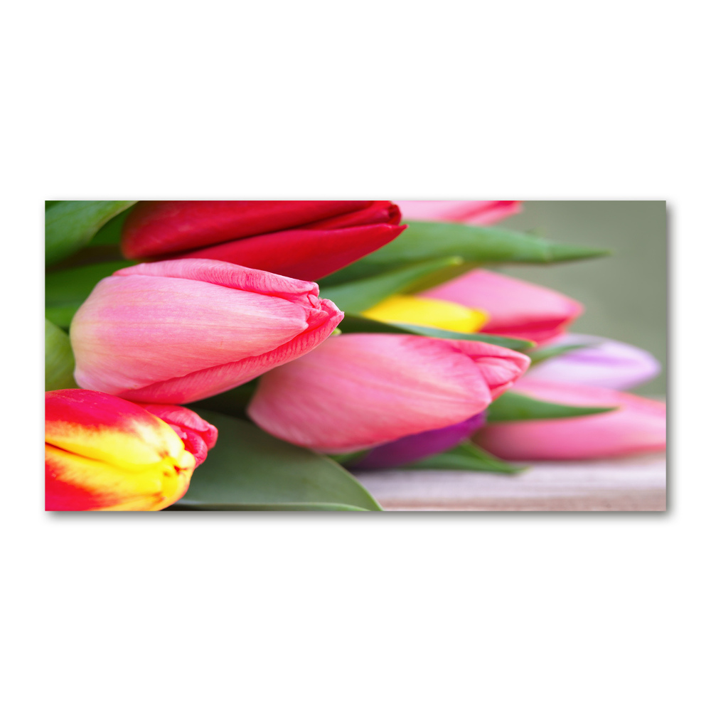 Foto obraz akrylový Farebné tulipány