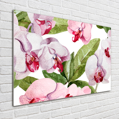 Foto obraz akrylové sklo Ružové orchidey