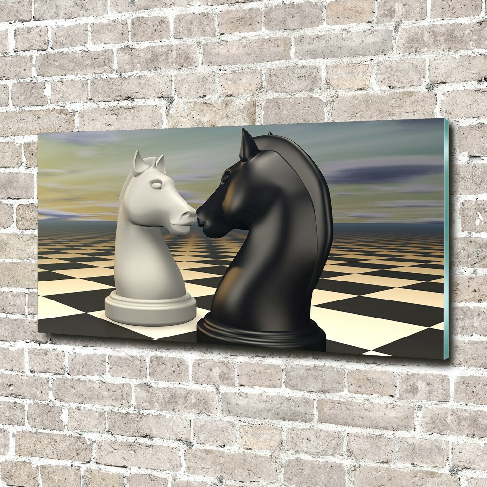 Foto obraz akrylové sklo Šach kone