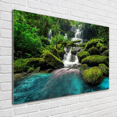 Foto obraz akrylový Vodopád v džungli