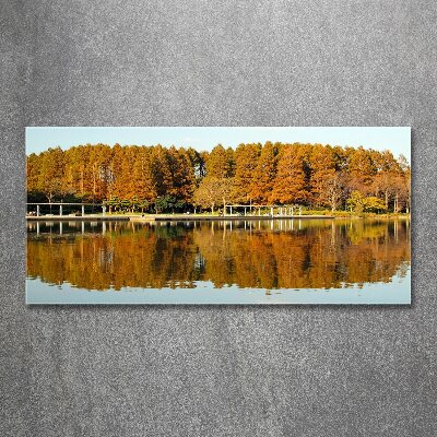 Foto obraz akrylové sklo Les na jazerom