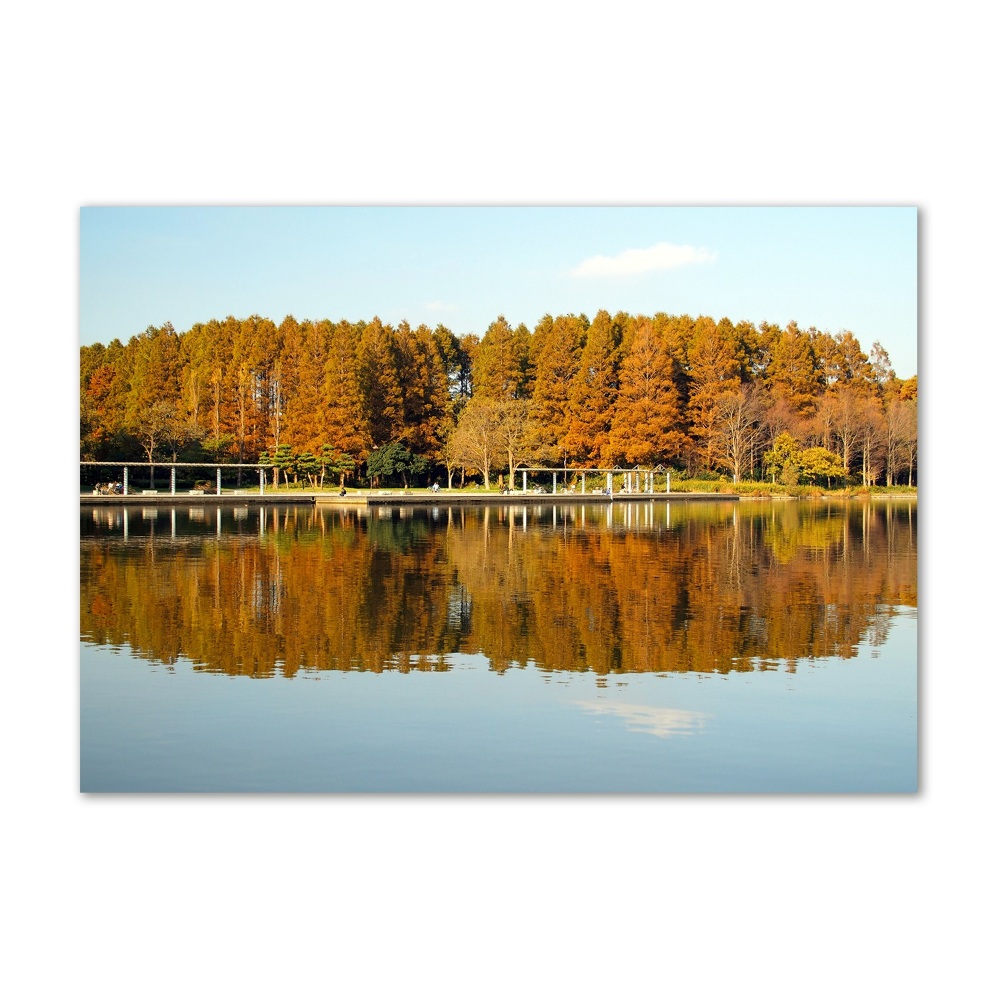 Foto obraz akrylové sklo Les na jazerom