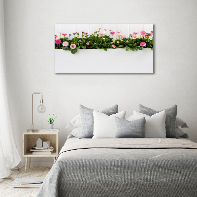 Foto obraz akrylový na stenu Ružové sedmokrásky