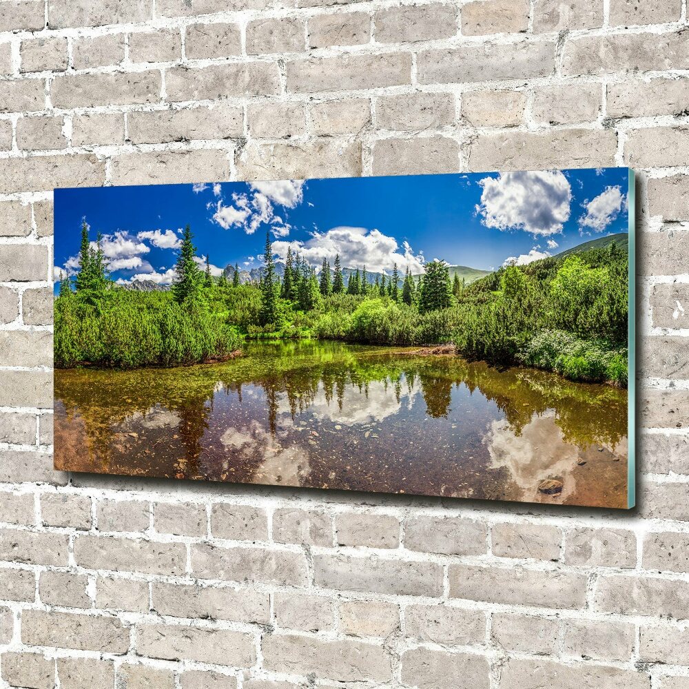 Foto obraz akryl do obývačky Jezerov lese