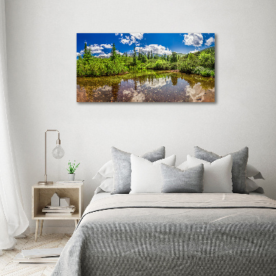 Foto obraz akryl do obývačky Jezerov lese