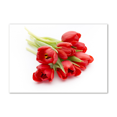 Moderný akrylový fotoobraz Červené tulipány