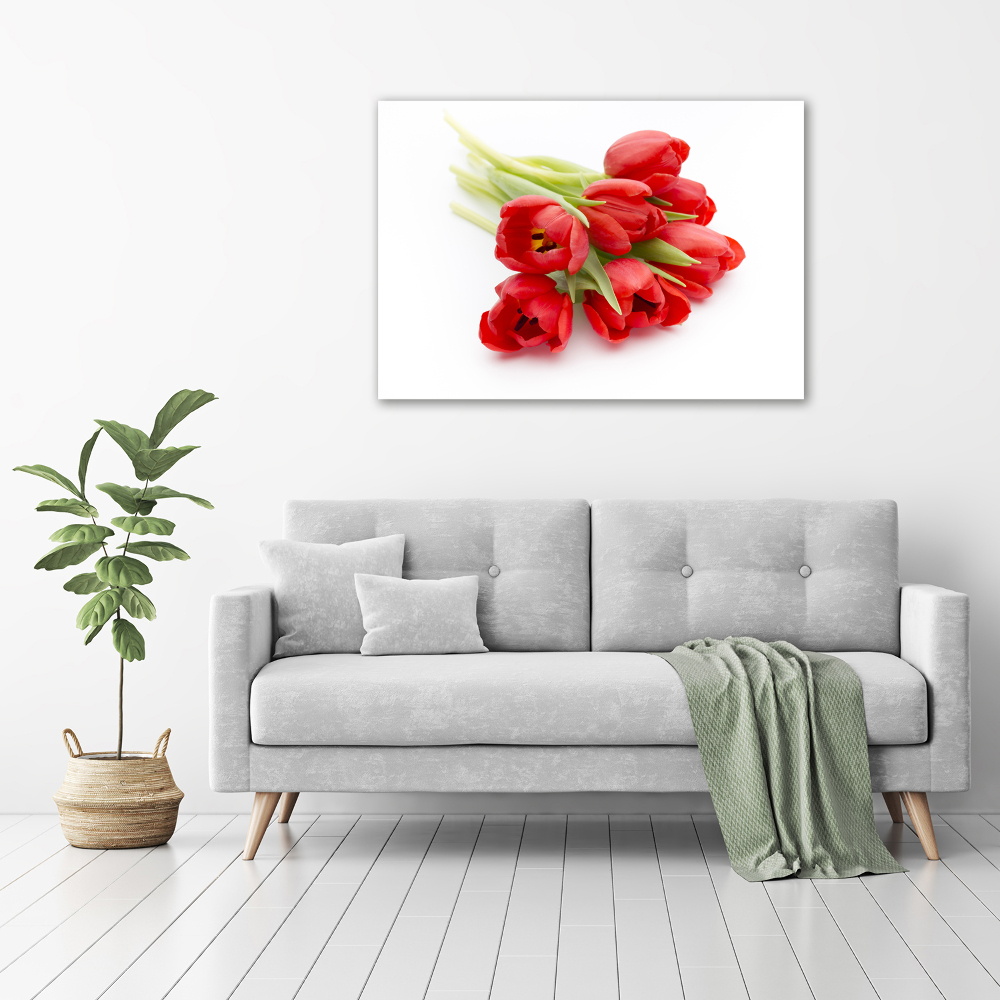 Moderný akrylový fotoobraz Červené tulipány