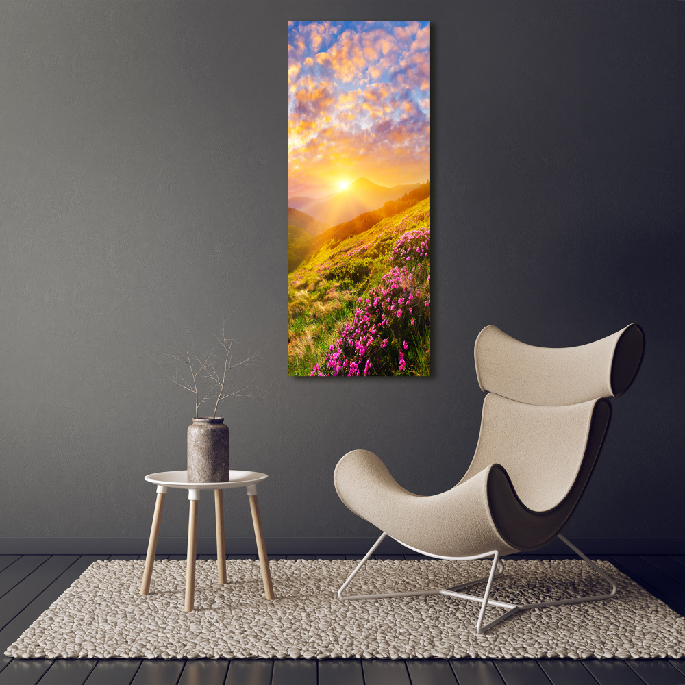 Vertikálny foto obraz akrylový Západ slnka hory