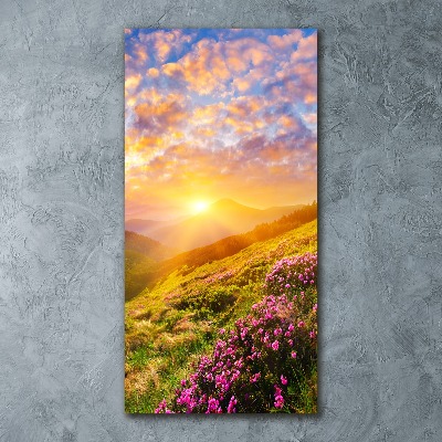 Vertikálny foto obraz akrylový Západ slnka hory