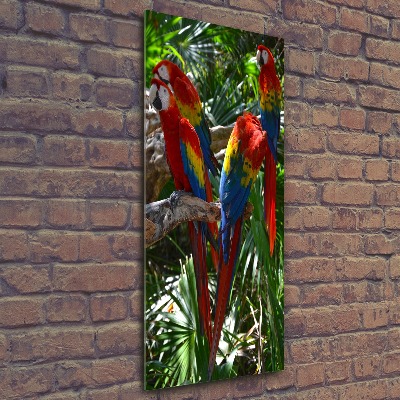 Vertikálny foto obraz akrylový na stenu Papagáje Ara