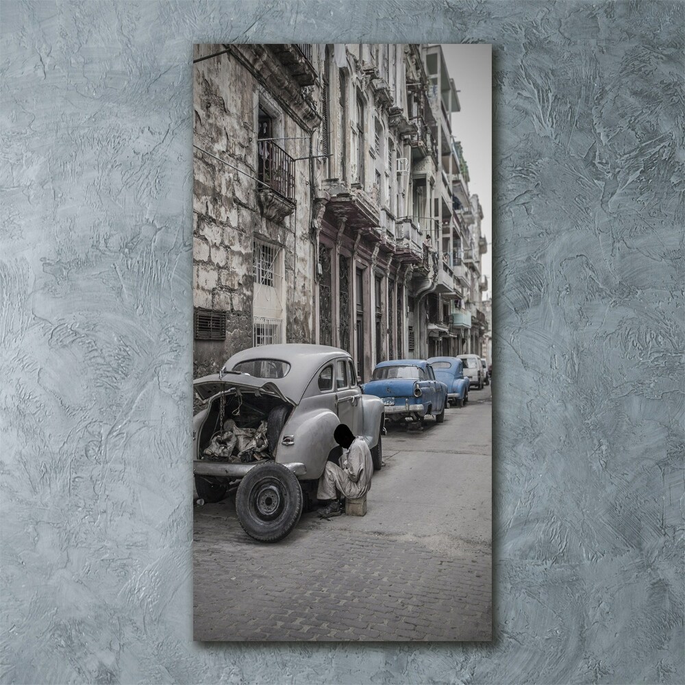 Vertikálny foto obraz akrylové sklo Havana