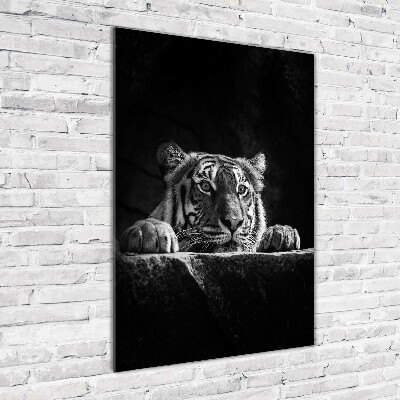 Vertikálny foto obraz akrylové sklo Tiger
