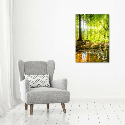 Vertikálny foto obraz akryl do obývačky Slnko v lese