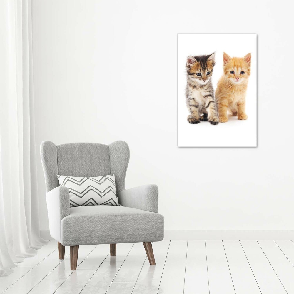 Vertikálny foto obraz akrylové sklo Sivá a červená mačka