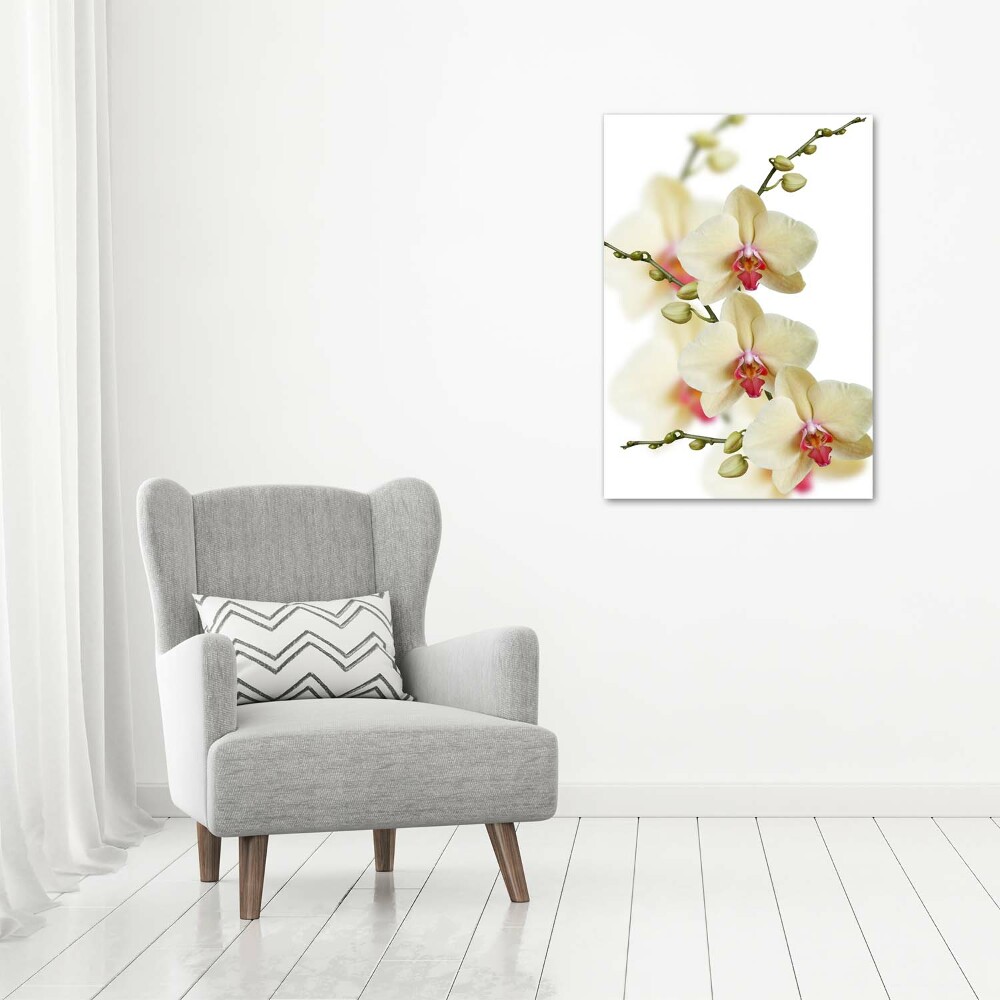 Vertikálny foto obraz akrylový na stenu Orchidea