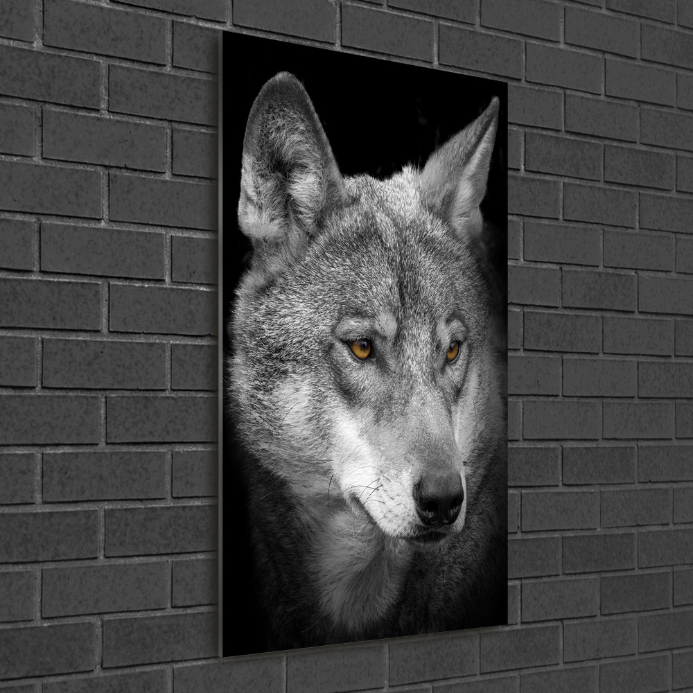 Vertikálny foto obraz akrylový do obývačky Portrét vlka