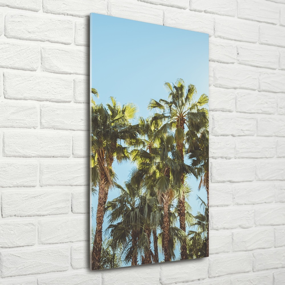 Vertikálny moderný foto-obraz akryl na stenu Palmy