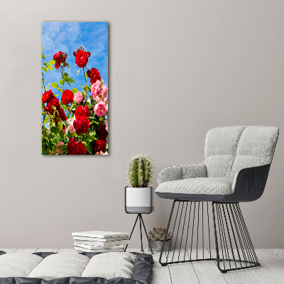 Vertikálny foto obraz akrylový na stenu Divoká ruža
