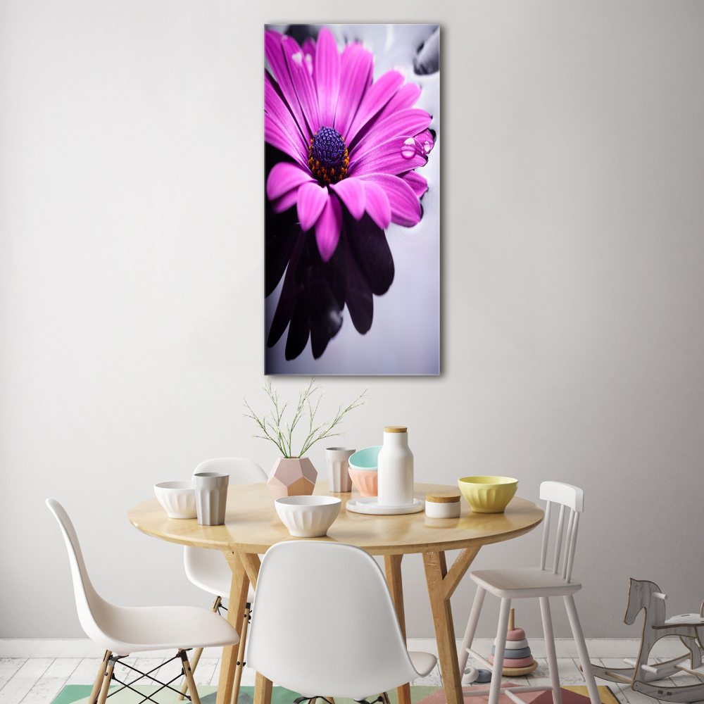 Vertikálny foto obraz akryl do obývačky Ružová gerbera