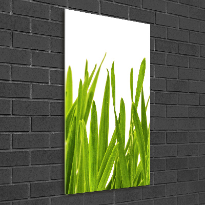 Vertikálny foto obraz akrylový do obývačky Zelená tráva