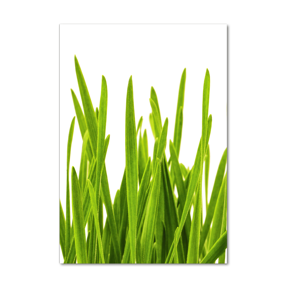 Vertikálny foto obraz akrylový do obývačky Zelená tráva