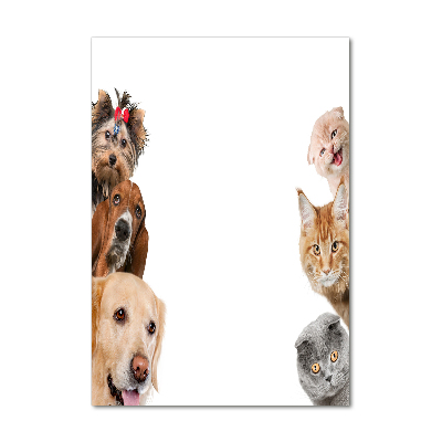 Vertikálny foto obraz akrylový na stenu Psy a mačky
