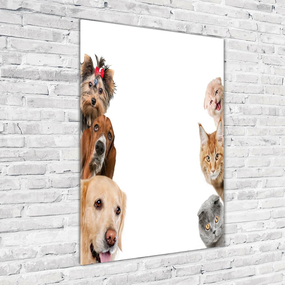 Vertikálny foto obraz akrylový na stenu Psy a mačky