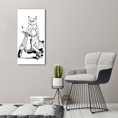 Vertikálny foto obraz akryl do obývačky Mačacie muž