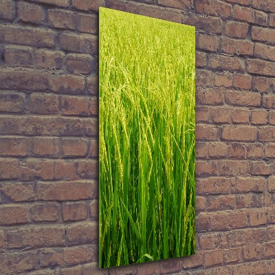 Vertikálny foto obraz akryl do obývačky Plantáž ryža