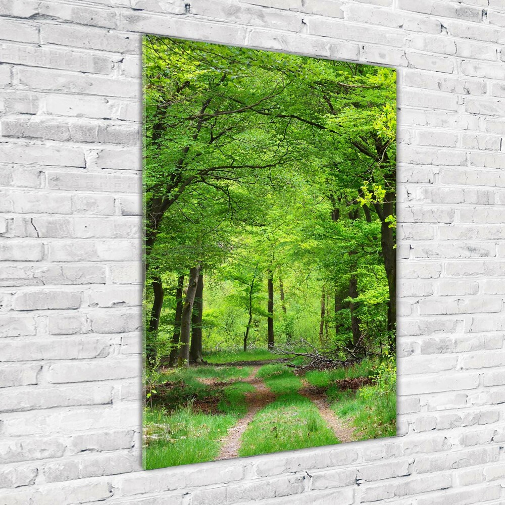 Vertikálny moderný akrylový fotoobraz zelený les