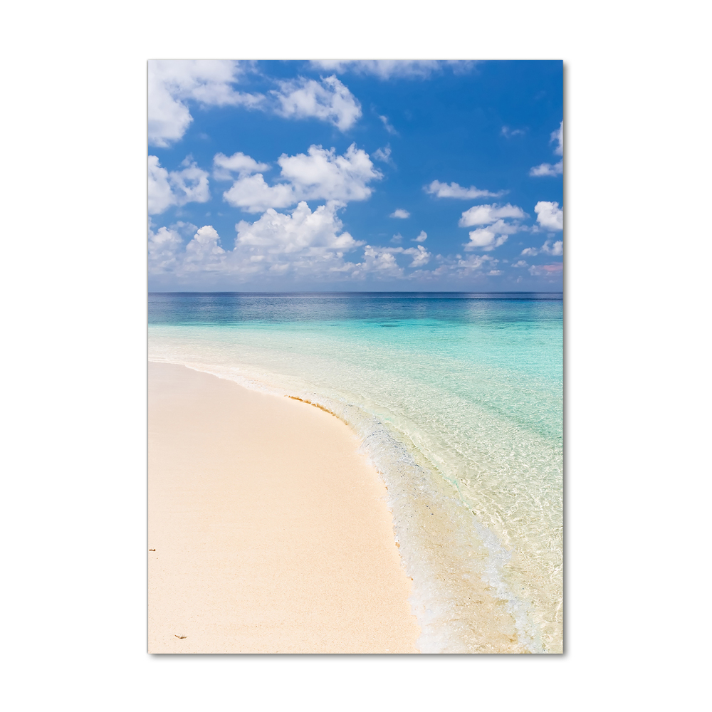 Vertikálny foto obraz akryl do obývačky Pláž Maldivy