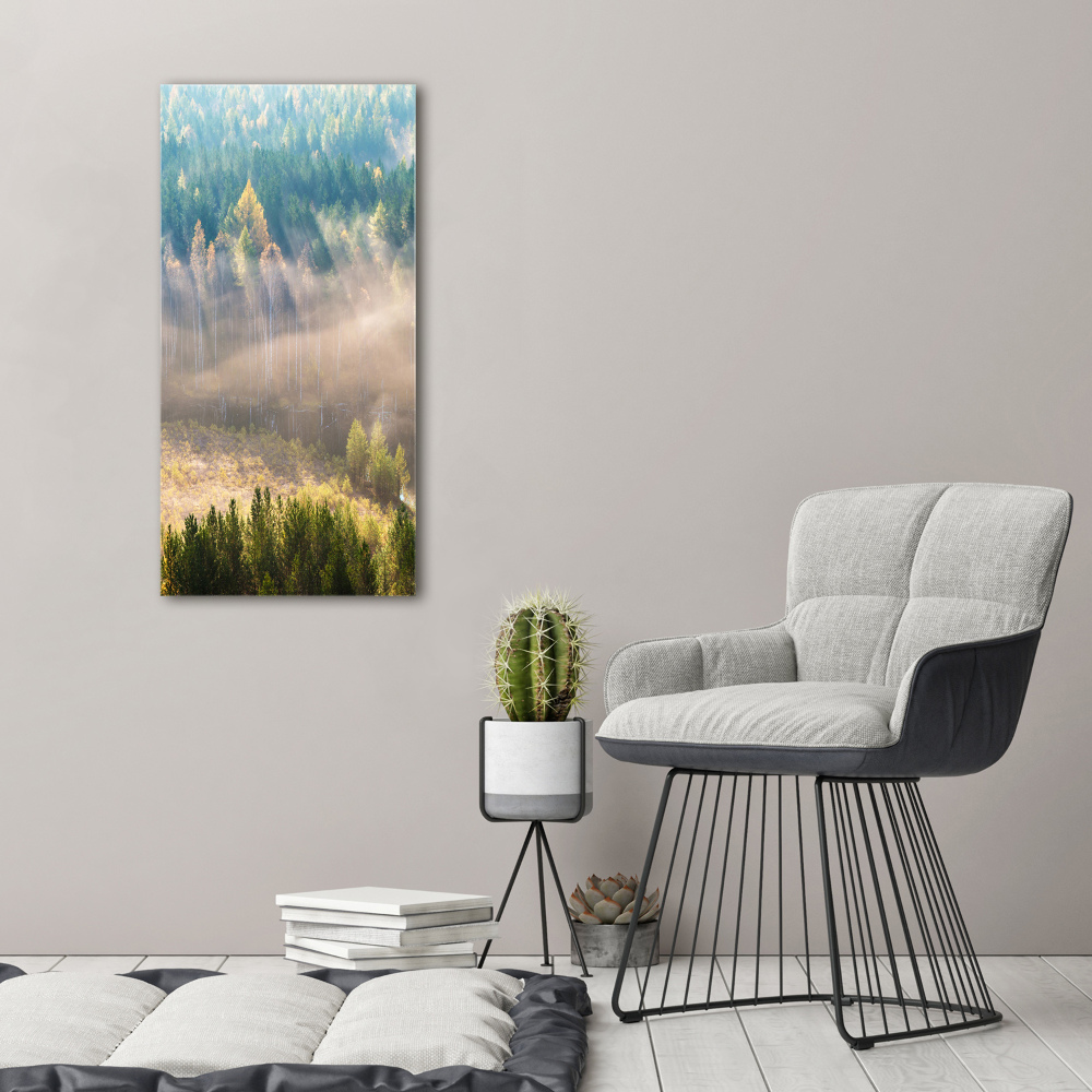 Vertikálny foto obraz akryl do obývačky Hmla nad lesom