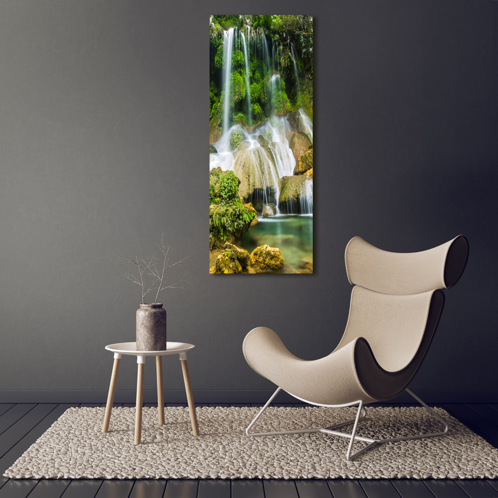 Vertikálny foto obraz akrylový Vodopád v džungli