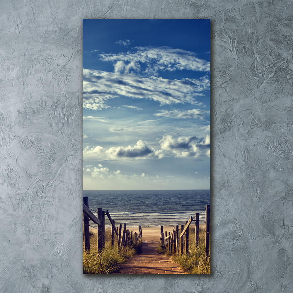 Vertikálny foto obraz akrylové sklo Chodník na pláž