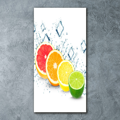 Vertikálny foto obraz akryl zvislý do obývačky Citrusy