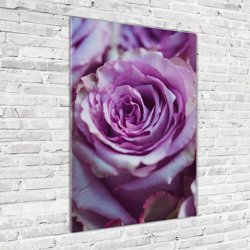 Vertikálny foto obraz akryl do obývačky Fialové ruže