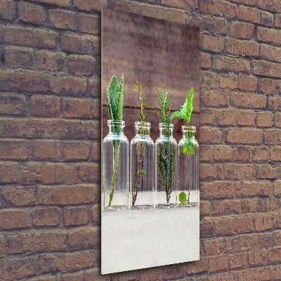 Vertikálny foto obraz akrylové sklo Bylinky v pohároch