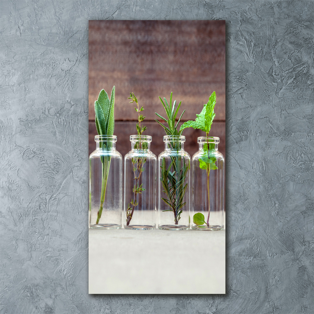 Vertikálny foto obraz akrylové sklo Bylinky v pohároch
