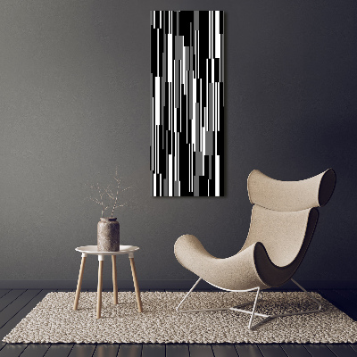 Vertikálny foto obraz akrylový Čierno-biele línie