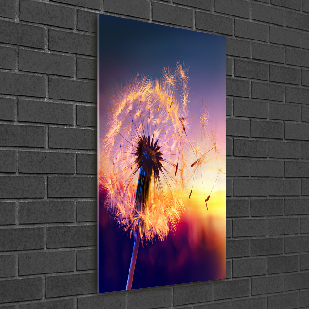 Vertikálny foto obraz akrylový na stenu Púpava