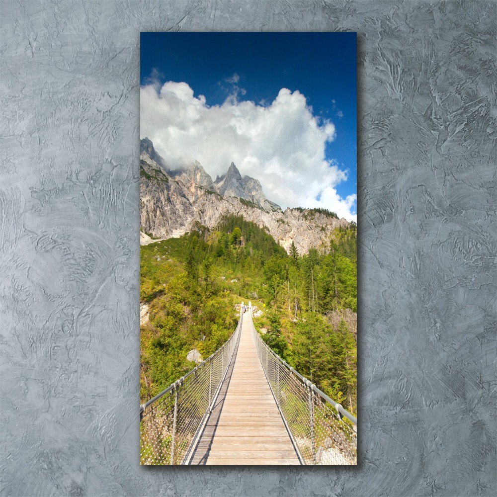 Vertikálny moderný akrylový fotoobraz Visiaci most