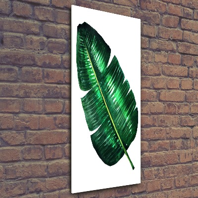 Vertikálny foto obraz akryl do obývačky List banánovníka