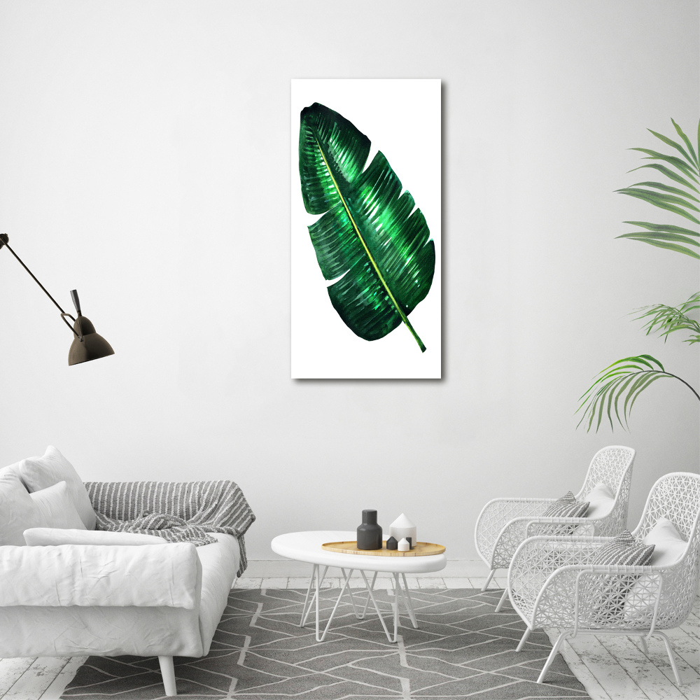 Vertikálny foto obraz akryl do obývačky List banánovníka