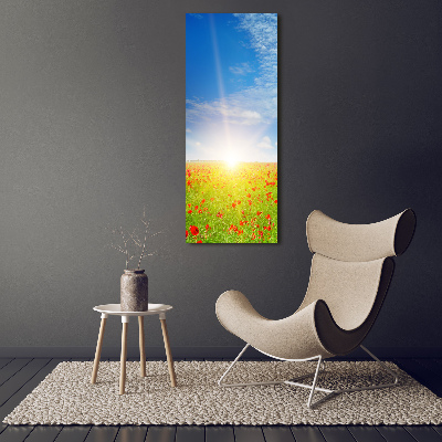 Vertikálny foto obraz akrylový na stenu Pole makov
